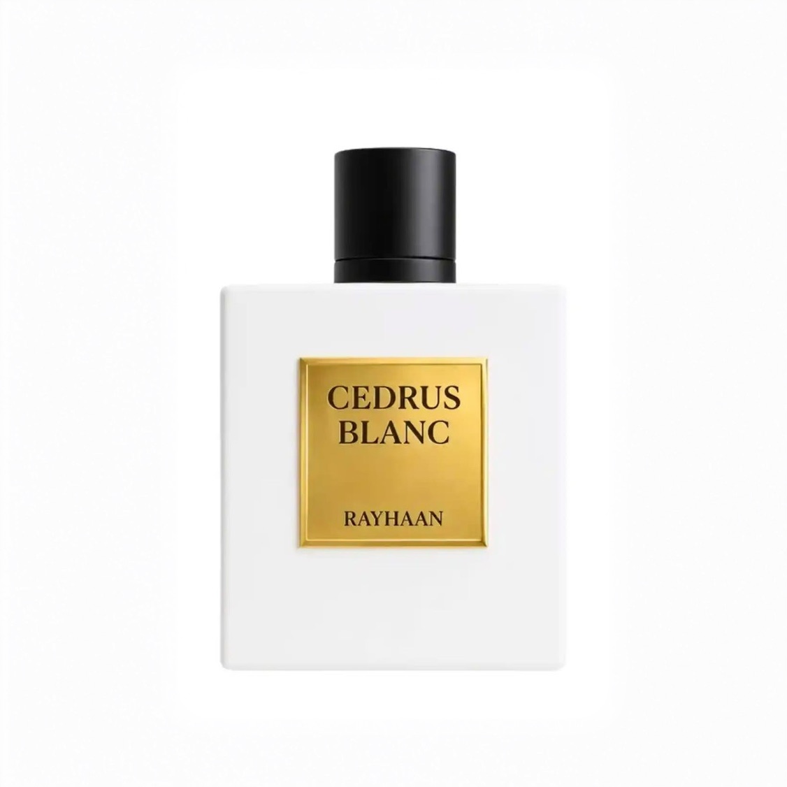 RAYHAAN CEDRUS BLANC