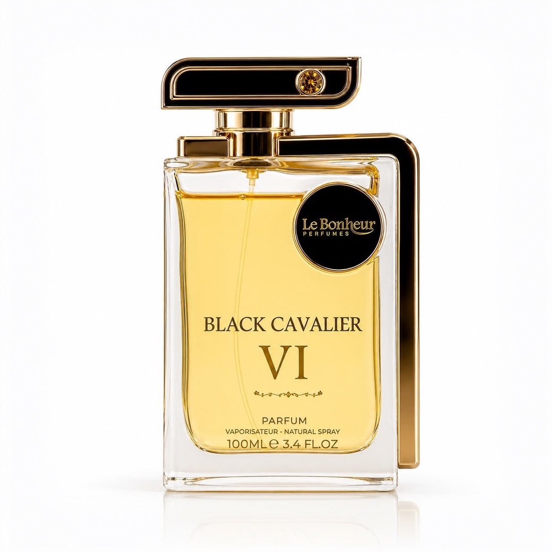 BLACK CAVALIER VI