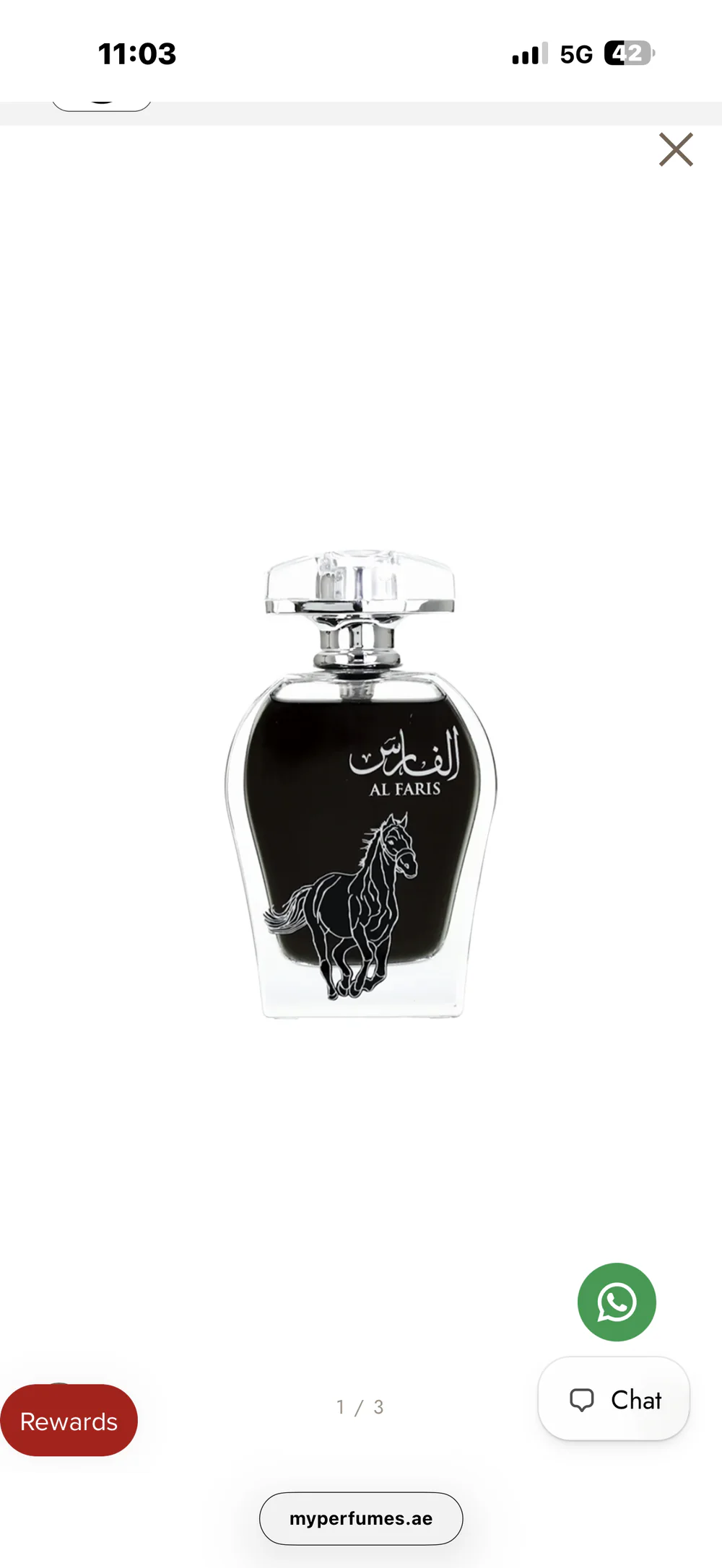 الفارس
